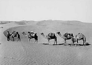 B9113 22 simpson desert