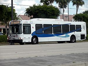 BCTBus