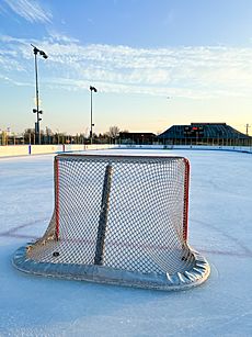 Bobby-hull-community-ice-arena-1