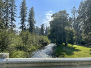 Little Spokane River at Buckeye from Little Spokane Drive looking downstream