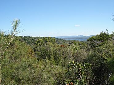 Castaways to Lake Weyba.JPG