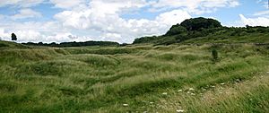 Charterhouse lead mines panorama