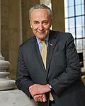 Chuck Schumer official photo