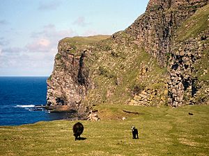 Cliffs, Foula