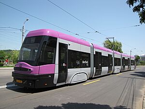 Cluj-Napoca, PESA 82, 2012.06.09 (2)