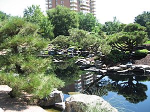 Denver japanese garden