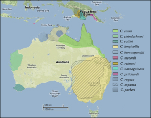 Distribution map of Chelodina species.gif