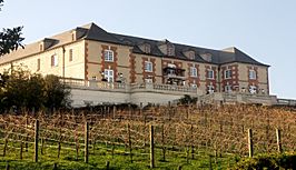 Domaine Carneros, Napa Valley, CA USA - panoramio (9) (cropped).jpg