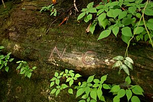 Ellicotts Rock July 2007