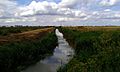 Flag Fen 14th Century Ditch