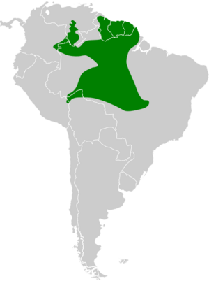 Galbula leucogastra map.svg