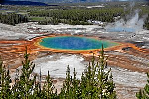 Grand Prismatic Spring 2013