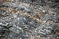 Gray shale & bentonites (Benton Shale, Upper Cretaceous; Red Rock Canyon Open Space, Colorado Springs, Colorado, USA) 5