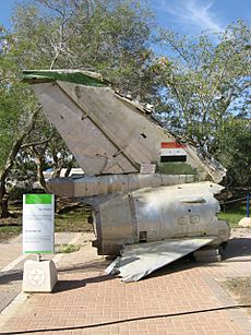 Hatzerim 290110 Sukhoi 7