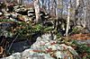 Tomaquag Rock Shelters