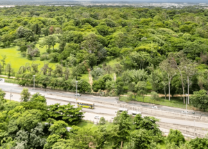 Jardín Botánico Asunción