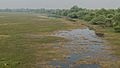 Keoladeo Ghana National Park (50750508661)