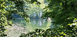 Lake Hart through trees