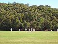 Lane Cove West Blackman Park