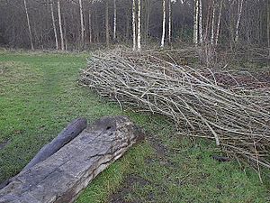 Log-bench at Moseley bog.jpg