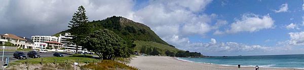 MountMaunganui Panorama