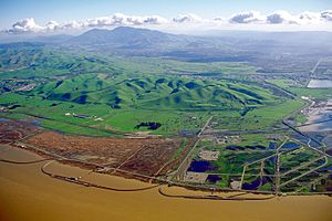 Mount Diablo California from Concord