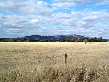 Mount Stradbroke and paddocks Coolana.jpg