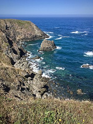 Navarro Point Preserve near Albion