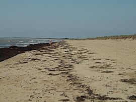 La Braie beach, in Notre-Dame-de-Monts