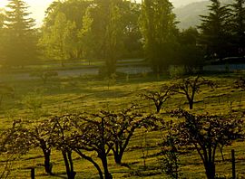 Oak Glen, California