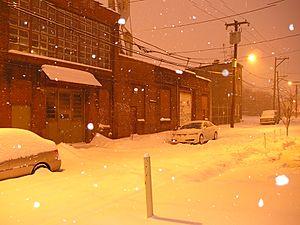 Ogden snow