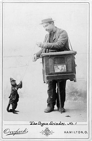 Organ grinder with monkey