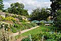 Oxford Botanic Garden, Meadow