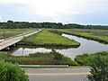 Poquoson Entrance Wythe Creek Road