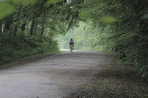 Pumpkinvine Trail Outside of Goshen