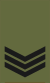 RMVCC Cadet Rank Slide CDTSGT.svg