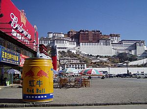 Red Bull near Potala Palace