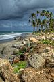 Remaining Beach Damage and Debris from Hurricanes Ivan and Emily