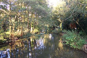 River Pang near Bradfield College