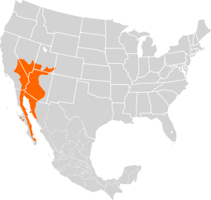 Sauromalus ater distribution.svg