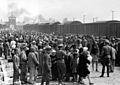 Selection Birkenau ramp