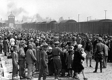 Selection Birkenau ramp