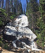 Skalkaho Falls July 7, 2017