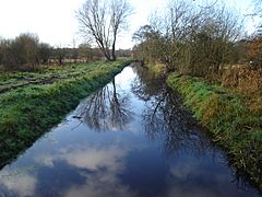 Sweet Briar Road Meadows SSSI.JPG