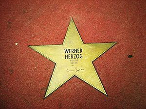 WERNER HERZOG star