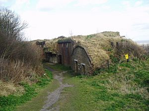 Western Heights Coastal Defence - geograph.org.uk - 20414