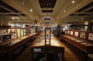 Whitby museum interior