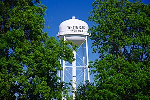 Water tower in White Oak