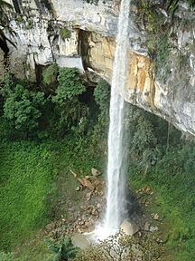 Yumbilla waterfall Ii copia.jpg