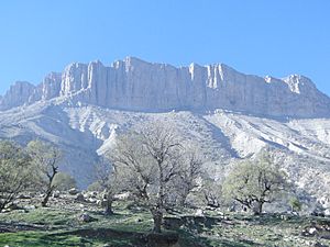 کوه مانشت